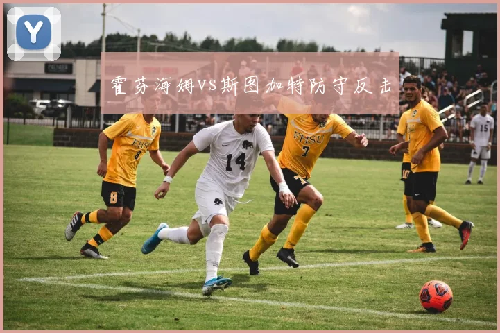 霍芬海姆vs斯图加特防守反击