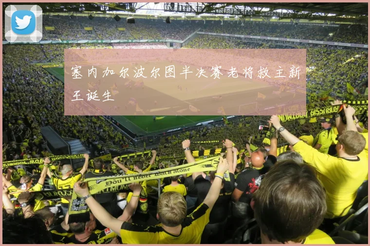 塞内加尔波尔图半决赛老将救主新王诞生