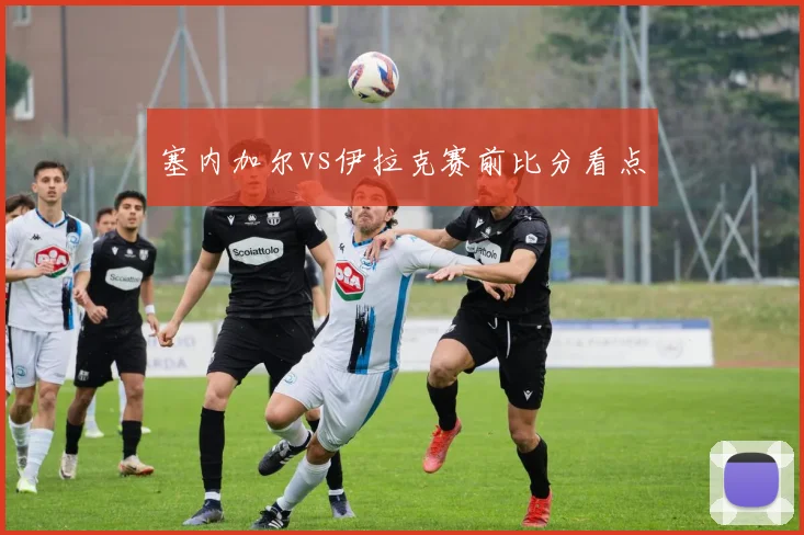 塞内加尔vs伊拉克赛前比分看点