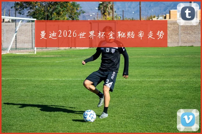 曼迪2026世界杯金靴赔率走势