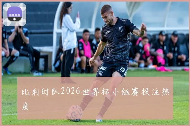 比利时队2026世界杯小组赛投注热度