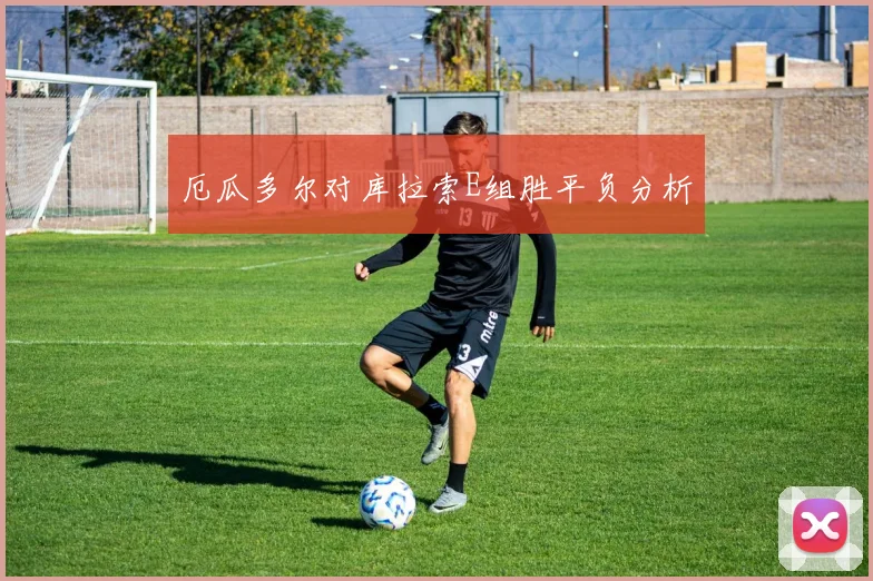 厄瓜多尔对库拉索E组胜平负分析