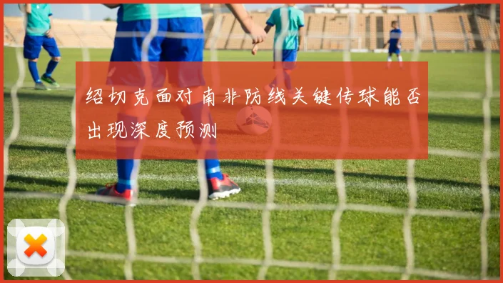绍切克面对南非防线关键传球能否出现深度预测